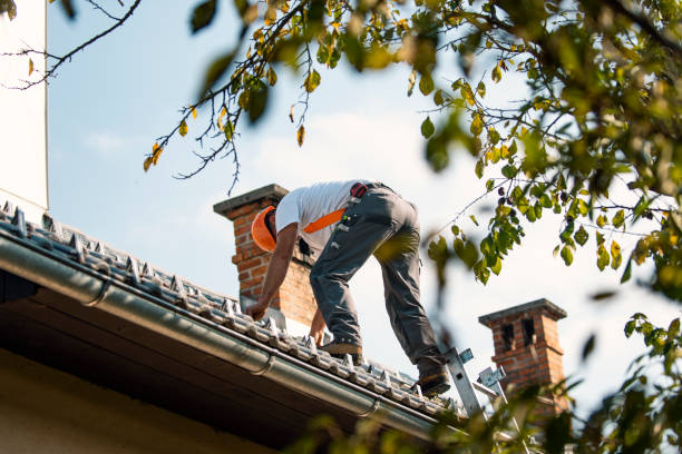 Best Residential Roofing Contractor  in Vandalia, IL
